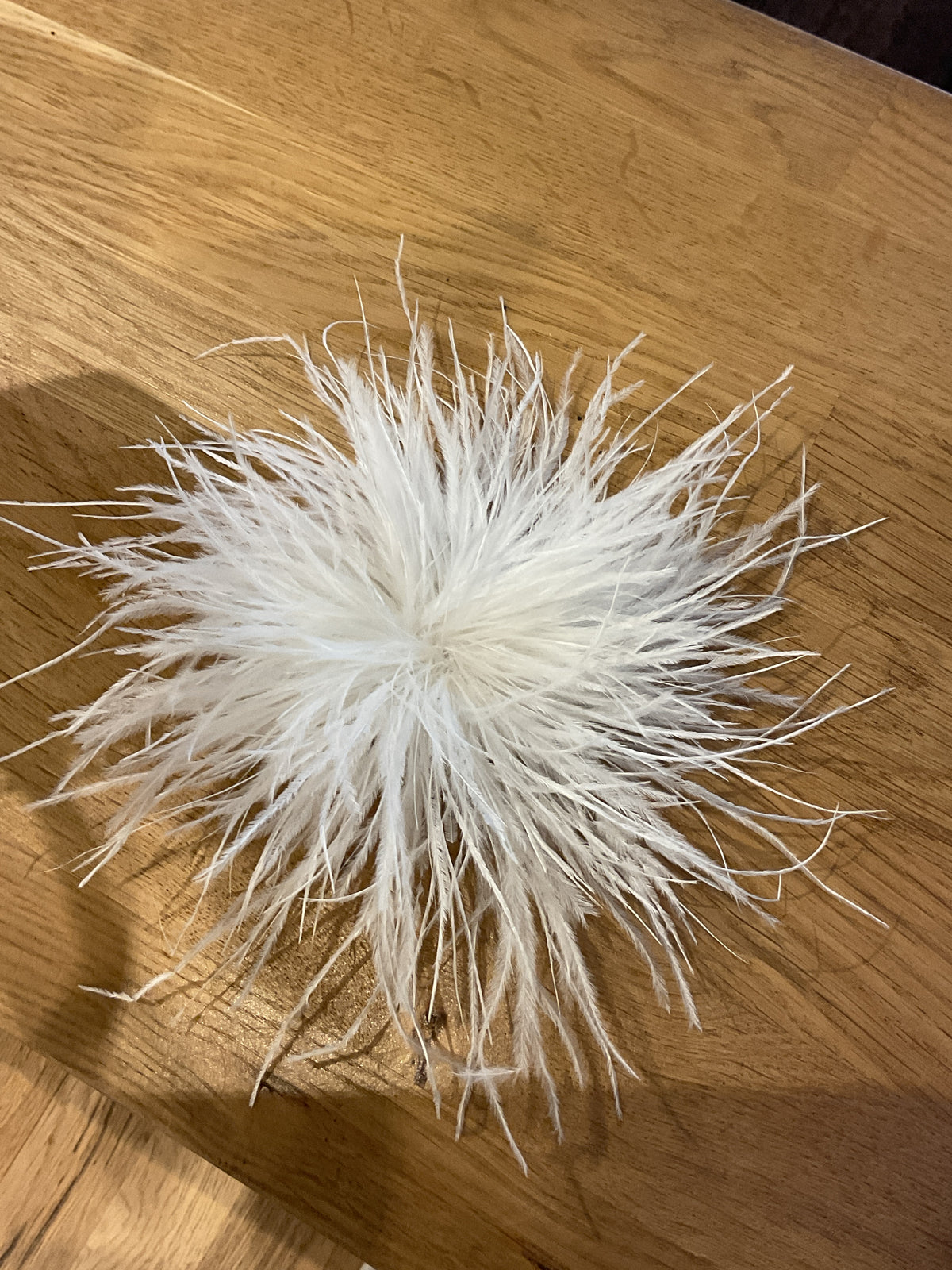 Unknown | White feather pin